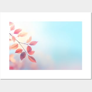 Leaf Air Nature Serene Tranquil Peace Posters and Art